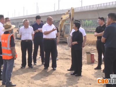副市长王忠想来我县实地督导鲁南高铁项目建设推进工作