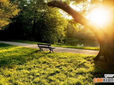 【万达·中良首府】三大公园 惬意生活 定格每一天幸福时光