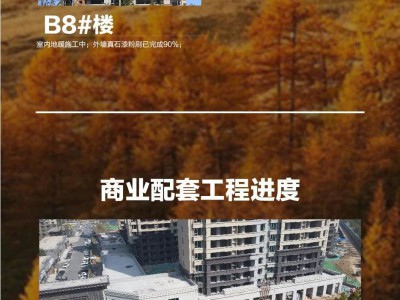 【云峰·中央公园】10月最新工程进度播报