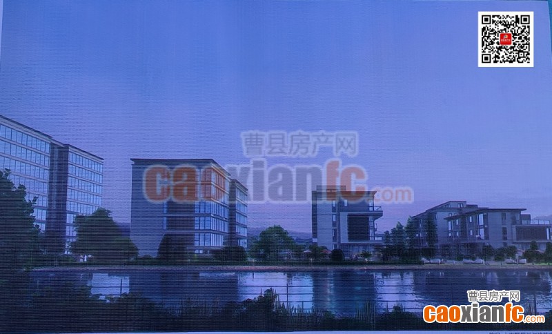 IMG20240924095228_副本