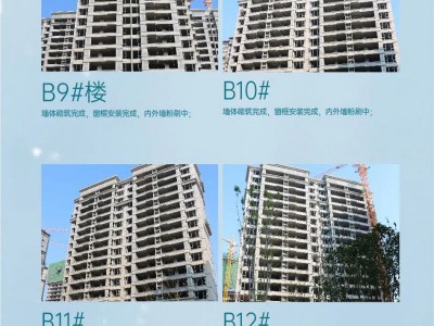 【云峰·中央公园】11月工程进度播报