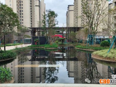 新岁启封 家音如期【云峰·中央公园】全线封顶 热销全城