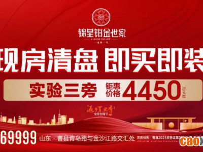 【锦呈·铂金世家】钜惠全城 现房清盘丨即买即装修 4450元/㎡起！