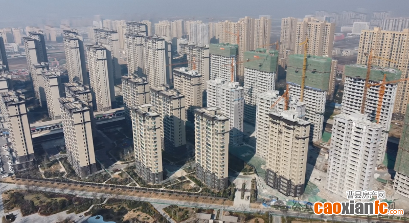 微信图片_20250211100600