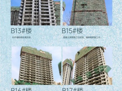 一笺新春 暖心如初【云峰·中央公园】2月家书 邀您共鉴新家变化