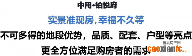 微信图片_20250304101423