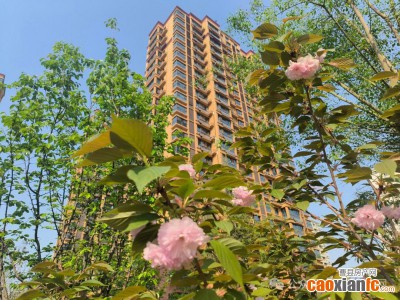 实景现房、准现房【三利御园】盛启理想生活！