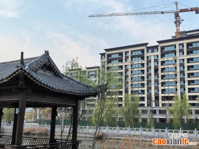 【中用·铂悦府】与伊尹公园为邻，让自然成为生活的底色！